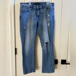 Banana Republic Blue Girlfriend Jeans